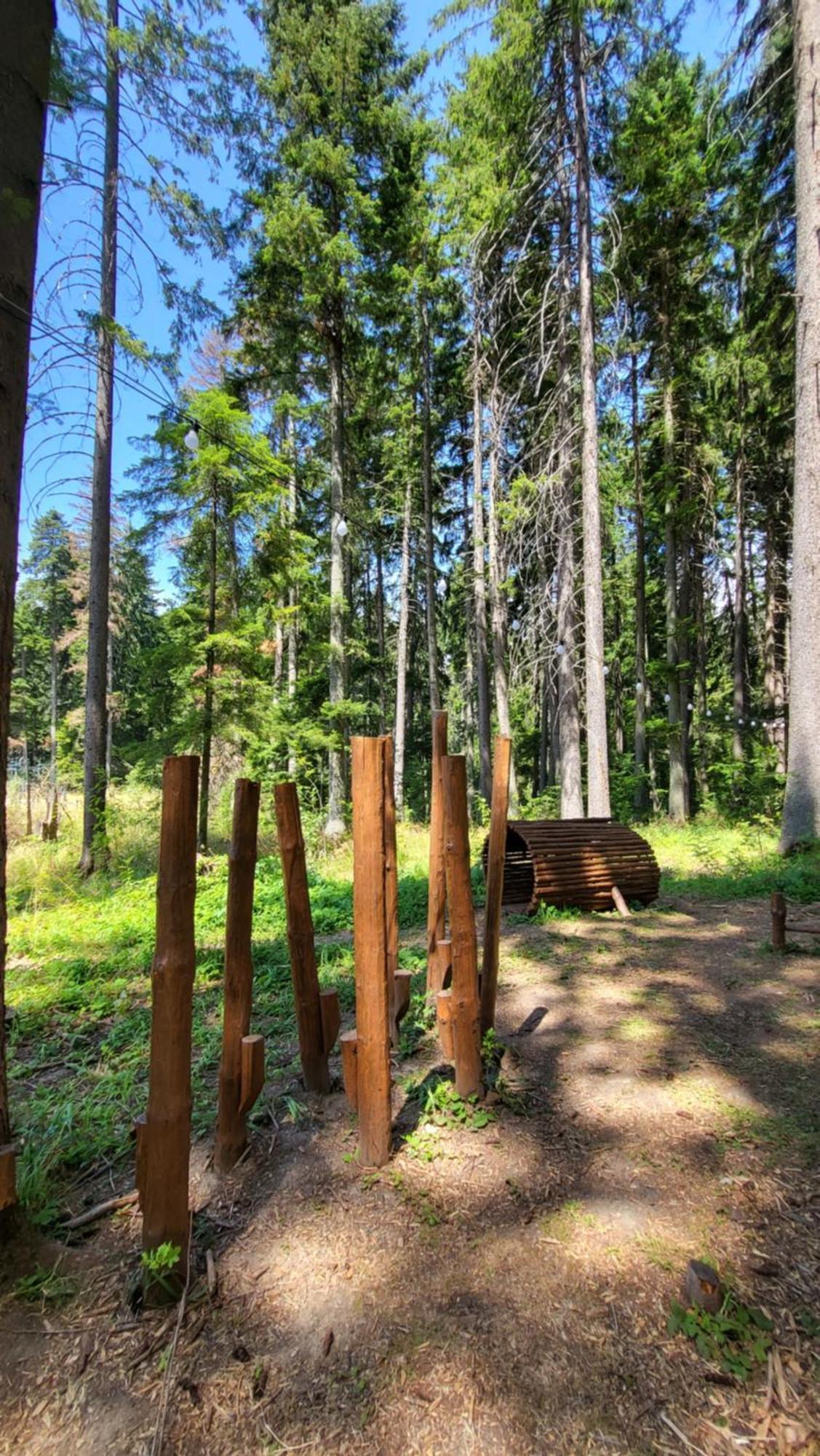 Pinewood Ang Luxurious Apartment A43, Borovets Gardens מראה חיצוני תמונה