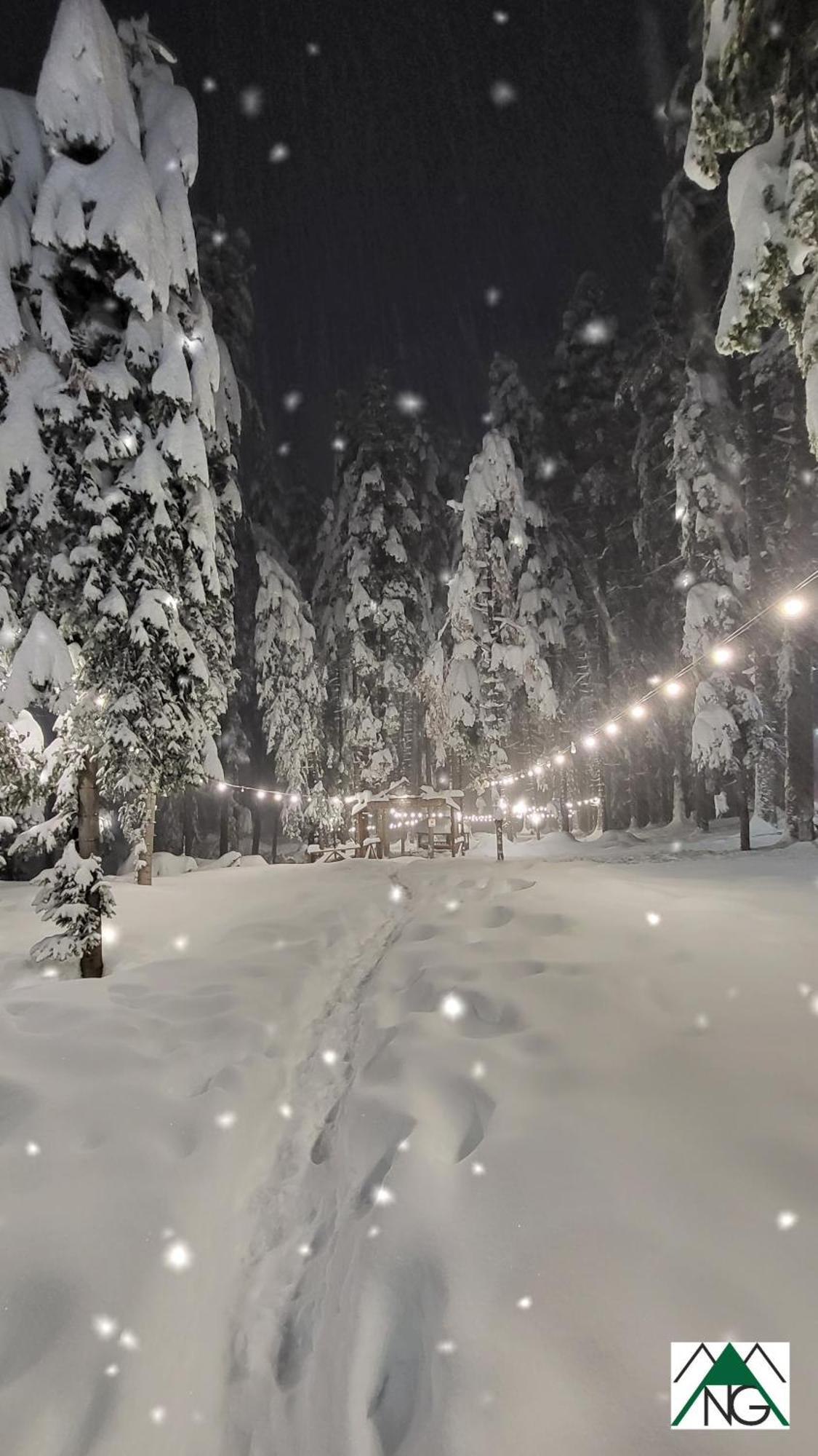 Pinewood Ang Luxurious Apartment A43, Borovets Gardens מראה חיצוני תמונה